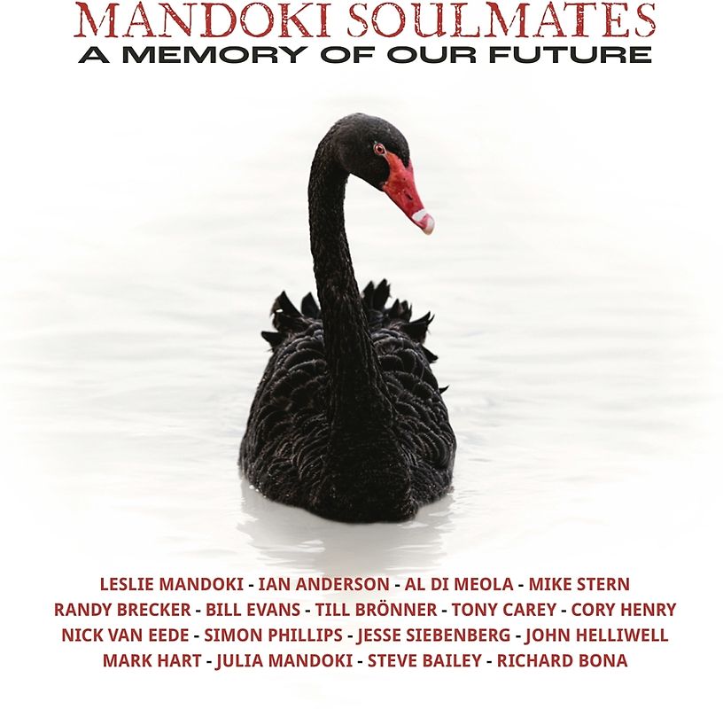 A Memory Of Our Future