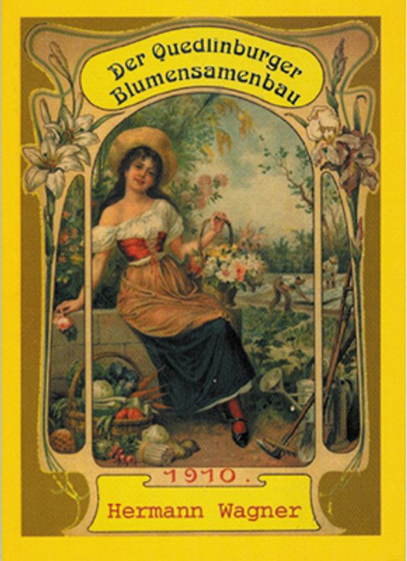 Der Quedlinburger Blumensamenbau