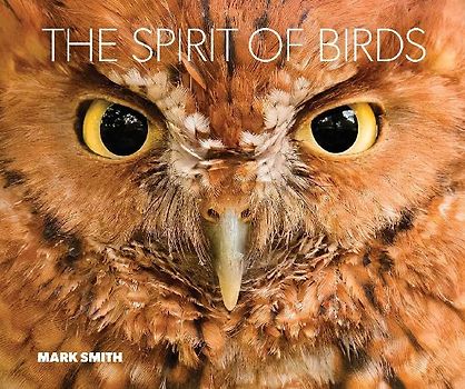 The Spirit of Birds