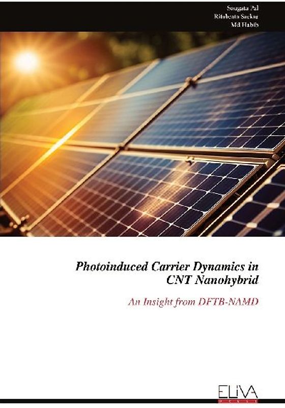 Photoinduced Carrier Dynamics in CNT Nanohybrid