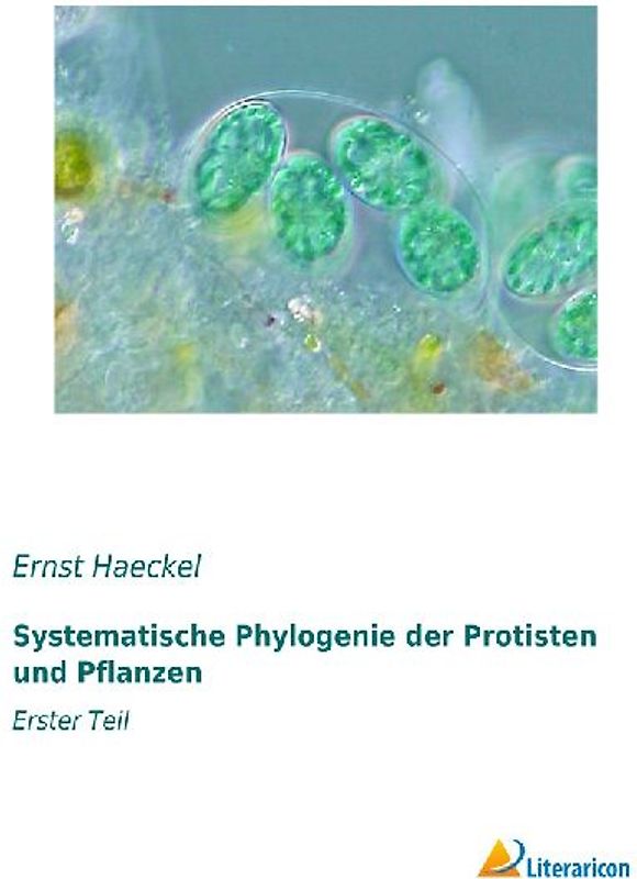 Systematische Phylogenie der Protisten und Pflanzen