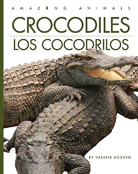 Crocodiles / Los Cocodrilos