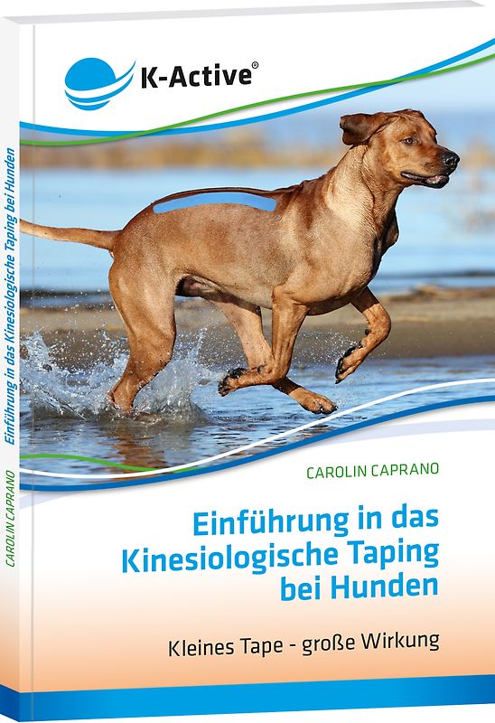 Einführung in das Kinesiologische Taping bei Hunden