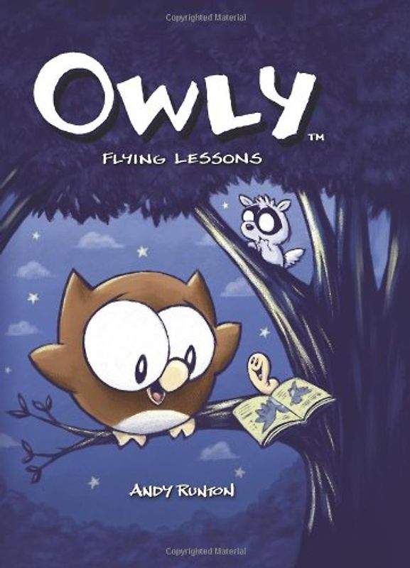Flying Lessons: Flying Lessons v. 3 (Owly)