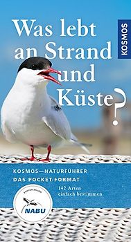 Was lebt an Strand und Küste?