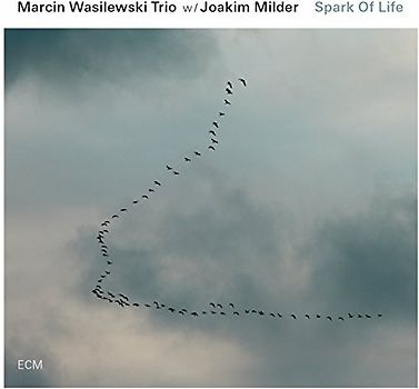 Wasilewski,Marcin Trio - Spark of Life