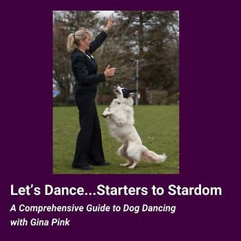 Let's Dance...Starters to Stardom: A Comprehensive Guide to Dog Dancing