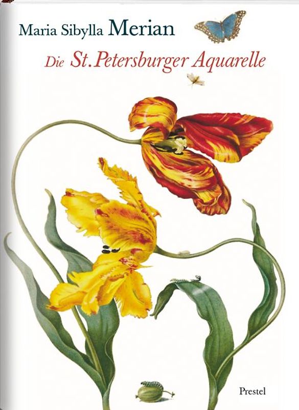 Maria Sibylla Merian