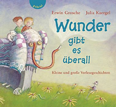 Wunder gibt es überall