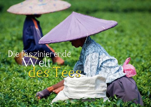 Die faszinierende Welt des Tees (Posterbuch DIN A4 quer)