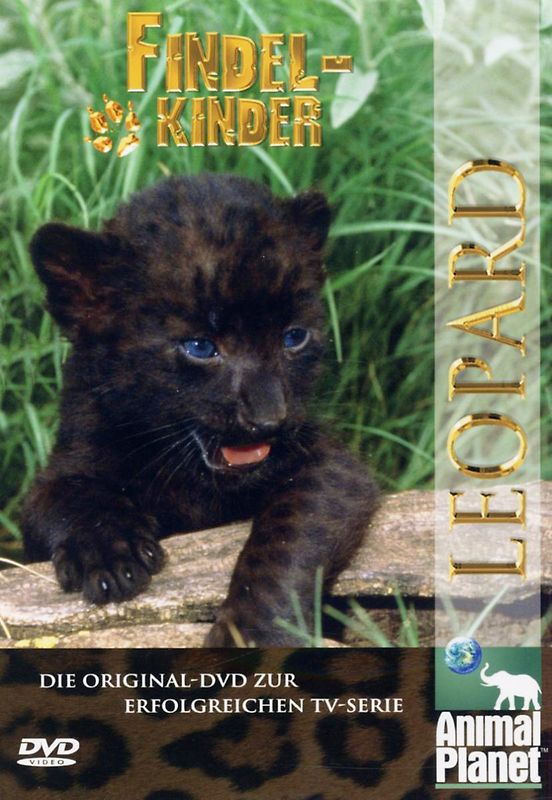 Animal Planet - Findelkinder, Vol. 02: Leoparden DVD