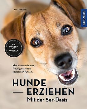 Hunde erziehen – mit der 5er-Basis