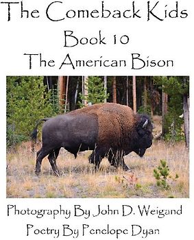 The Comeback Kids--Book 10--The American Bison