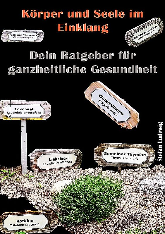 Körper und Seele im Einklang I Dein Ratgeber für ganzheitliche Gesundheit