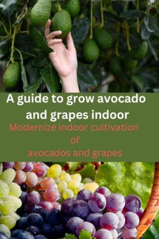 A guide to growing avocado and grapes indoor: modernize indoor cultivation of avocados and grapes