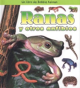 Ranas Y Otros Anfibios (Frogs and Other Amphibians)