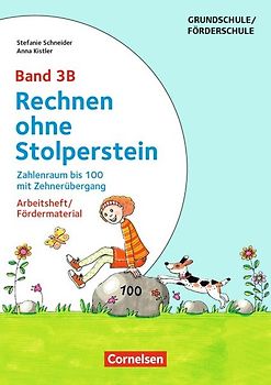 Rechnen ohne Stolperstein - Band 3B