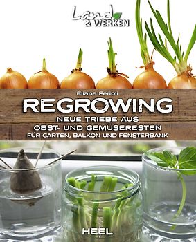 Regrowing – Neue Triebe aus Obst- und Gemüseresten