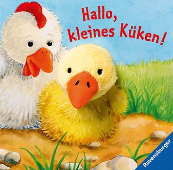Hallo, kleines Küken!