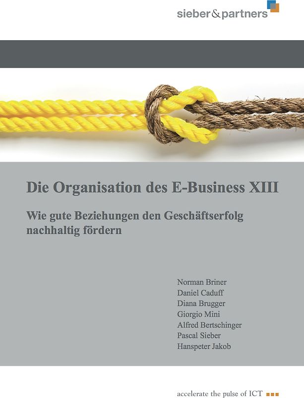 Die Organisation des E-Business XIII