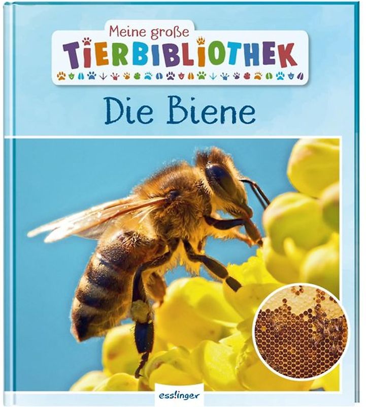 Meine große Tierbibliothek: Die Biene