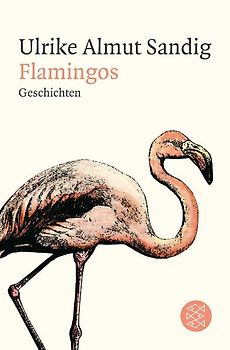 Flamingos