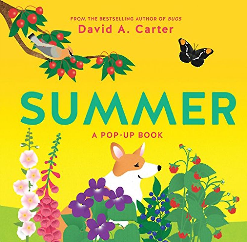 Summer: A Pop-Up Book (Seasons Pop-up Books)
