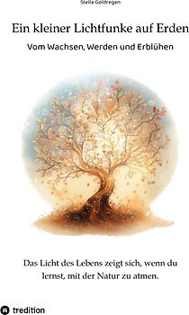 Ein kleiner Lichtfunke auf Erden