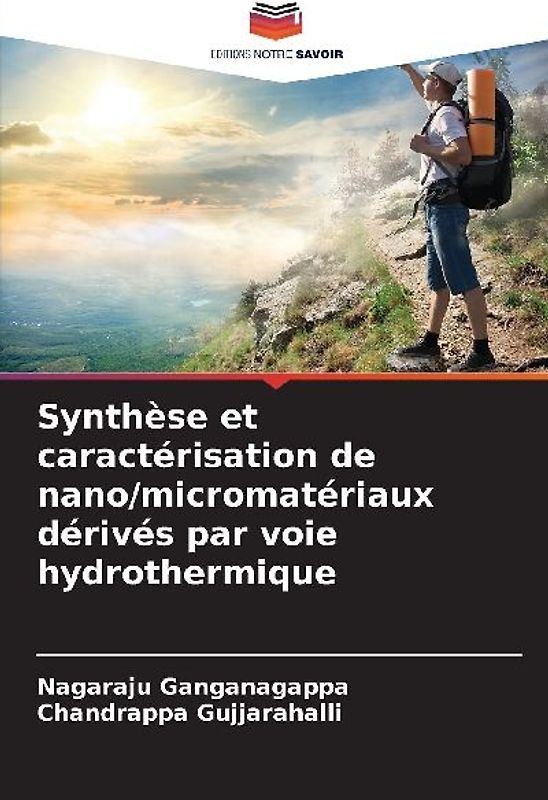 Synthèse et caractérisation de nano/micromatériaux dérivés par voie hydrothermique