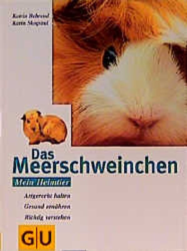 Meerschweinchen, Das