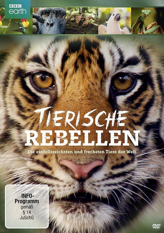 Tierische Rebellen - Die einfallsreichsten und frechsten Tiere der Welt DVD