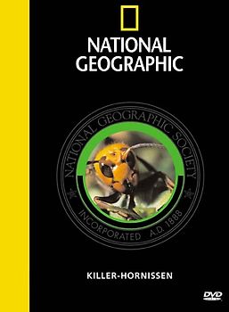NG DVD Killerhornissen DVD