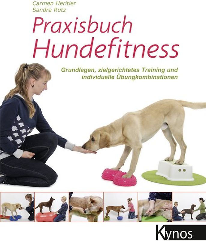 Praxisbuch Hundefitness