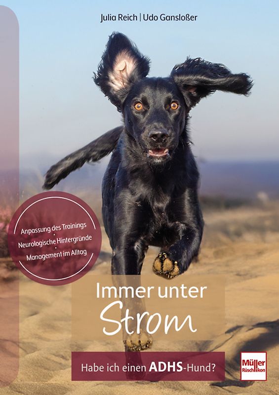 Immer unter Strom