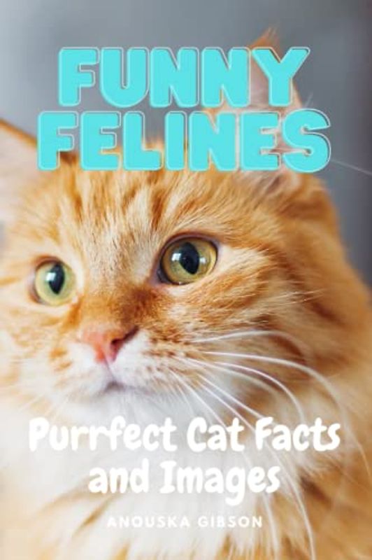Funny Felines: Purrfect Cat Facts and Images