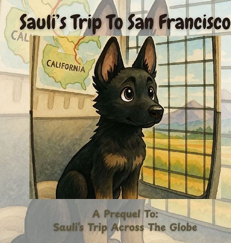 Sauli's Trip To San Francisco