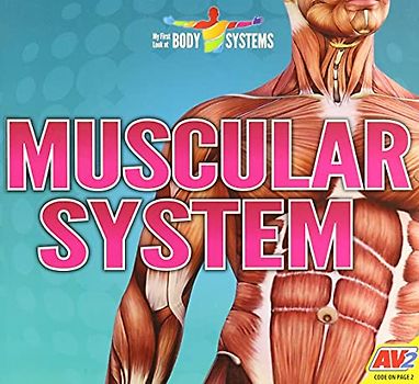 Muscular System