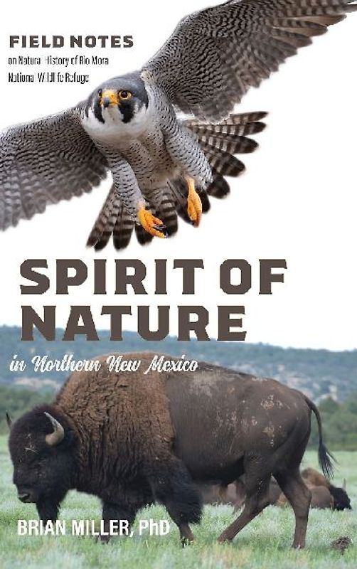 Spirit of Nature in Northern New Mexico