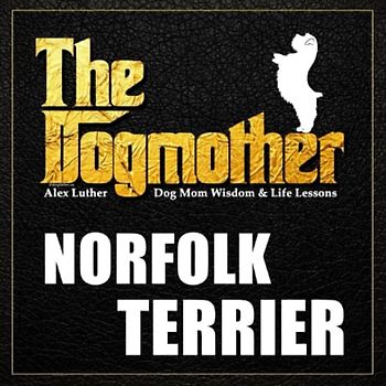 The Dogmother: Norfolk Terrier: (Dog Mom Wisdom & Life Lessons)