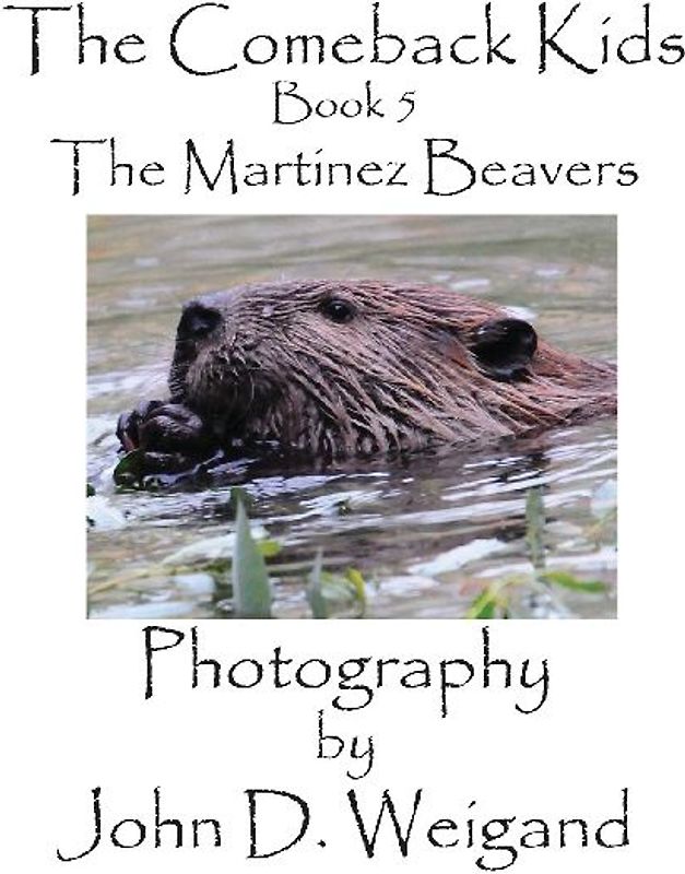 The Comeback Kids, Book 5, The Martinez Beavers