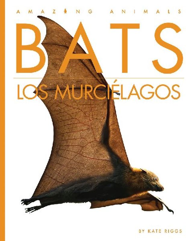 Bats / Los Murciélagos