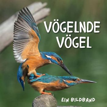 Vögelnde Vögel