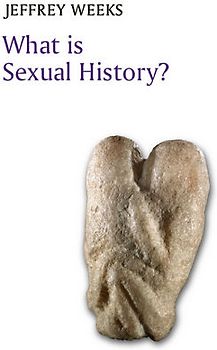 What is Sexual History?