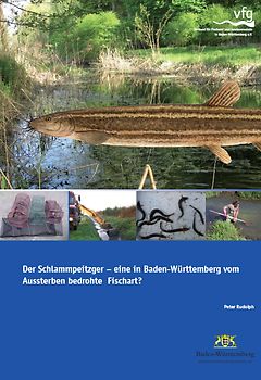 Der Schlammpeitzger - eine in Baden-Württemberg vom Aussterben bedrohte Fischart?