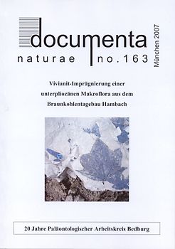 Vivianit-Imprägnierung unterpliozäner Makroflora