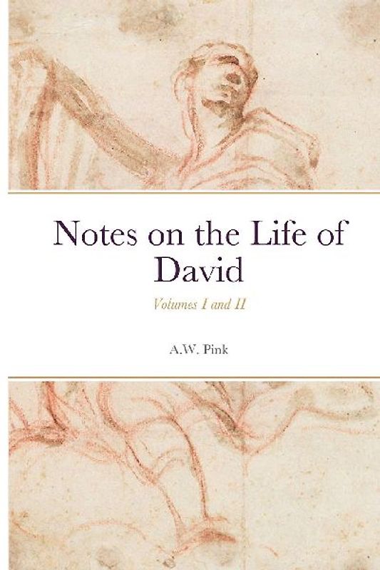 Notes on the Life of David