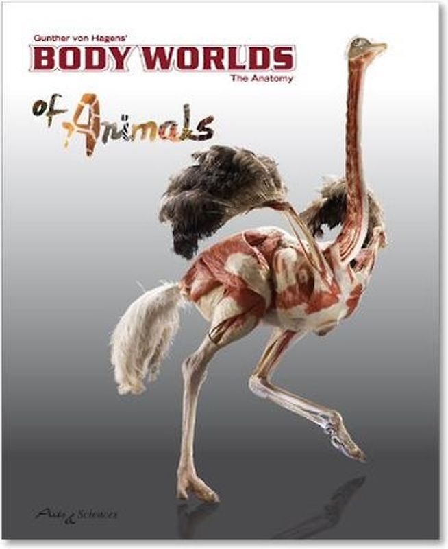Body Worlds of Animals. The Anatomy