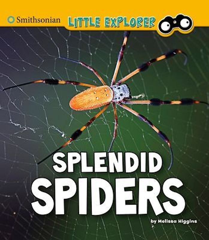 Splendid Spiders