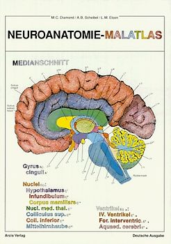 Neuroanatomie-Malatlas