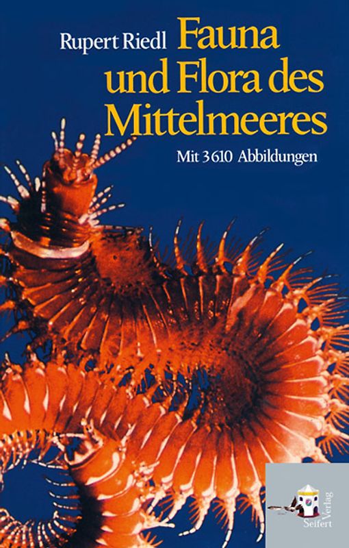 Fauna und Flora des Mittelmeeres